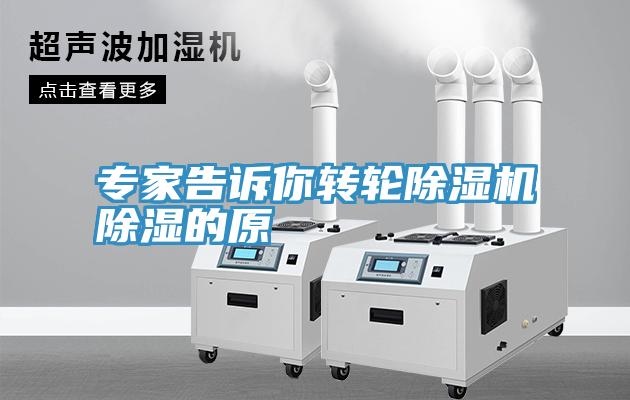 专家告诉你转轮MR.好色破解版除湿的原
