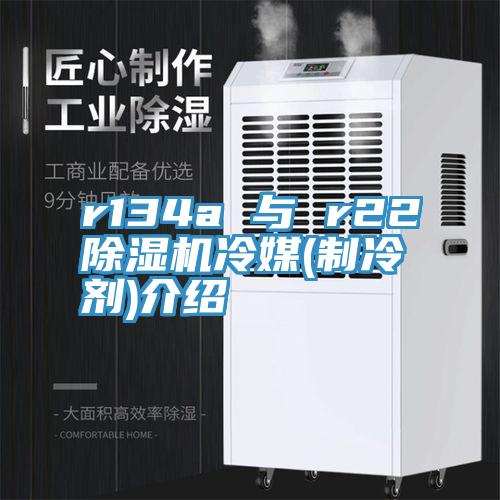 r134a 与 r22MR.好色破解版冷媒(制冷剂)介绍