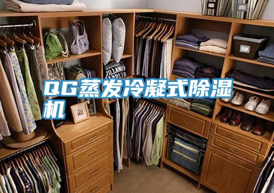 QG蒸发冷凝式MR.好色破解版