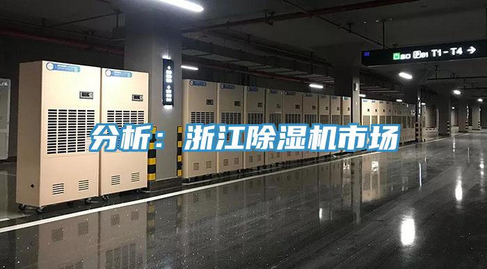 分析：浙江MR.好色破解版市场
