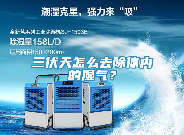 三伏天怎么去除体内的湿气？