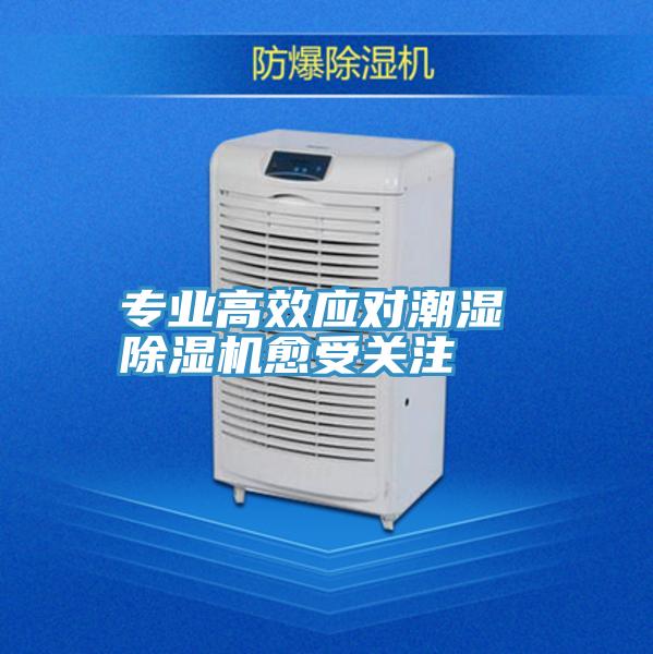 专业高效应对潮湿 MR.好色破解版愈受关注