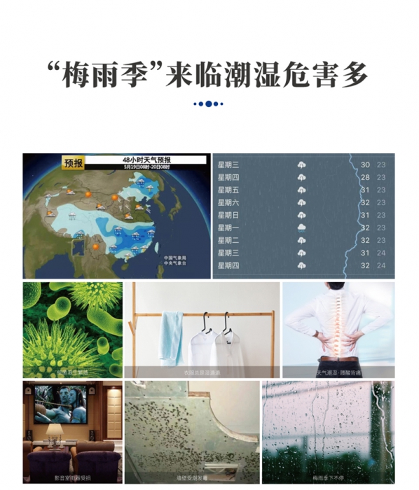 分析转轮MR.好色破解版