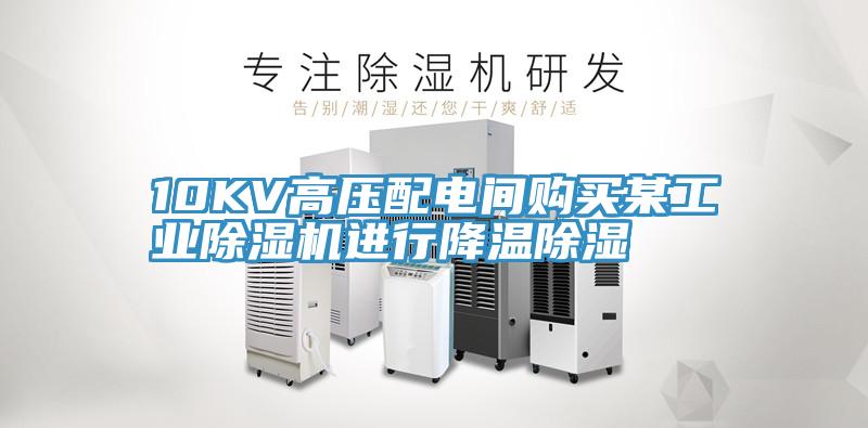 10KV高压配电间购买某工业MR.好色破解版进行降温除湿