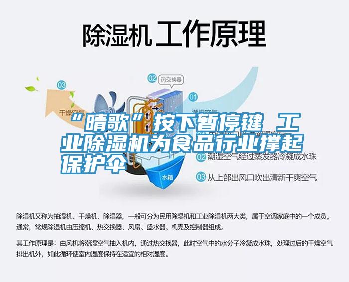 “晴歌”按下暂停键 工业MR.好色破解版为食品行业撑起保护伞