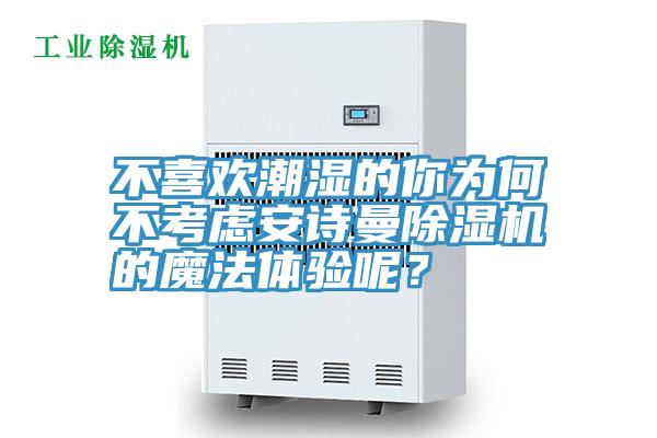 不喜欢潮湿的你为何不考虑好色先生TV下载网站MR.好色破解版的魔法体验呢？