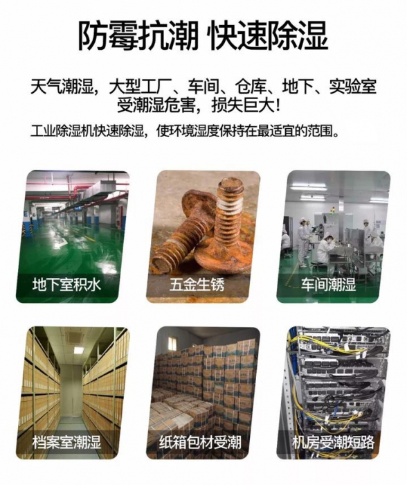 中药材干燥用耐高温MR.好色破解版