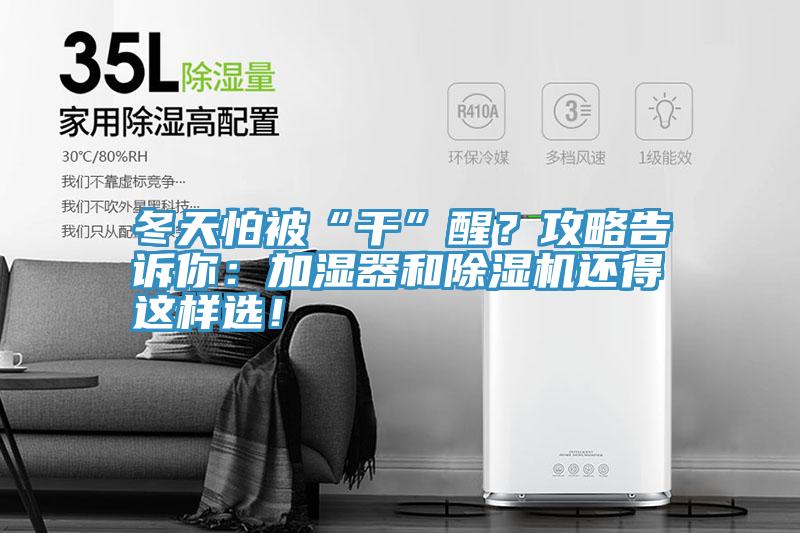 冬天怕被“干”醒？攻略告诉你：加湿器和MR.好色破解版还得这样选！