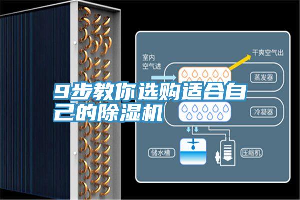 9步教你选购适合自己的MR.好色破解版