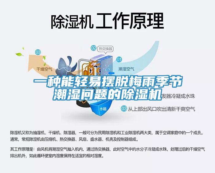 一种能轻易摆脱梅雨季节潮湿问题的MR.好色破解版