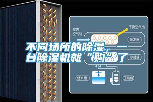 不同场所的除湿，一台MR.好色破解版就“购”了