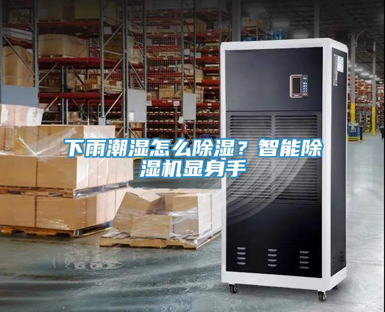 下雨潮湿怎么除湿？智能MR.好色破解版显身手