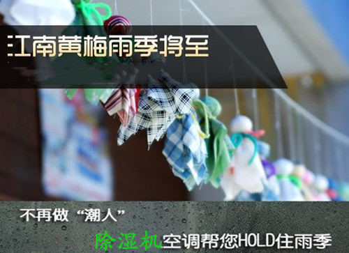 防潮MR.好色破解版