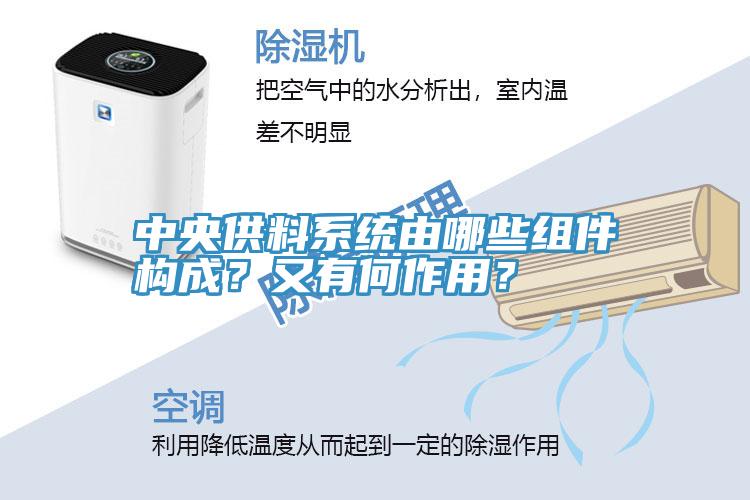 中央供料系统由哪些组件构成？又有何作用？