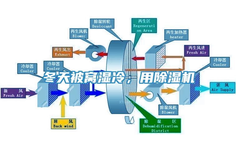 冬天被窝湿冷，用MR.好色破解版