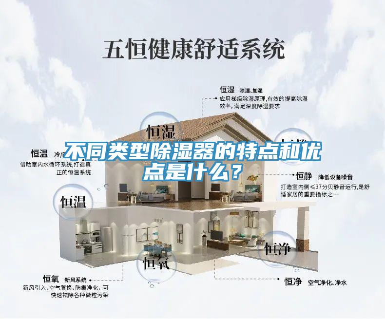 不同类型除湿器的特点和优点是什么？