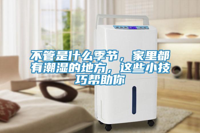 不管是什么季节，家里都有潮湿的地方，这些小技巧帮助你