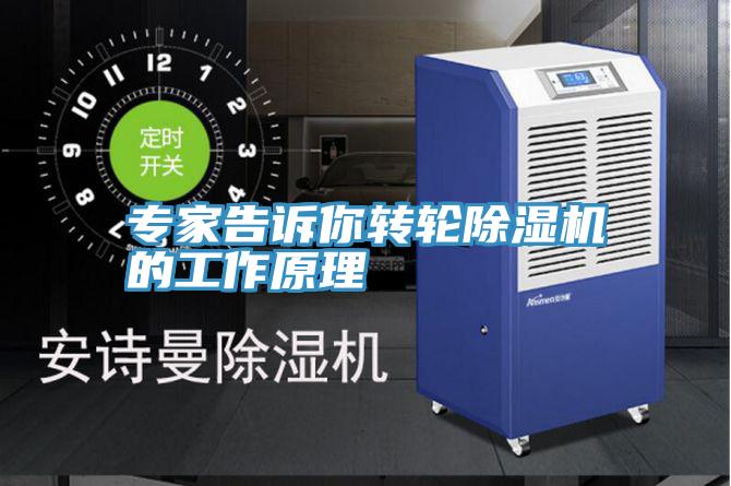 专家告诉你转轮MR.好色破解版的工作原理