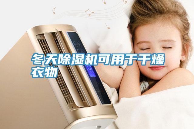 冬天MR.好色破解版可用于干燥衣物
