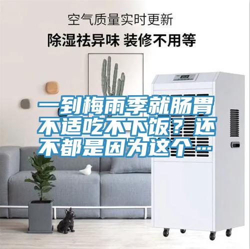 一到梅雨季就肠胃不适吃不下饭？还不都是因为这个…