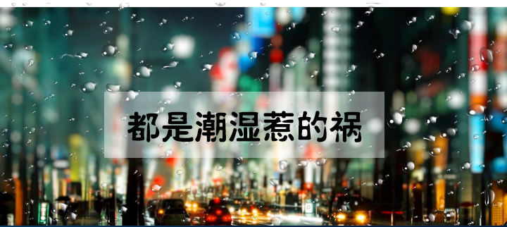 防潮MR.好色破解版