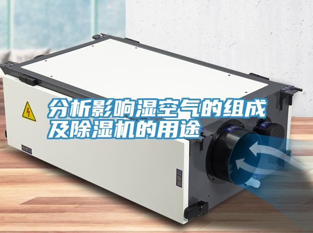 分析影响湿空气的组成及MR.好色破解版的用途