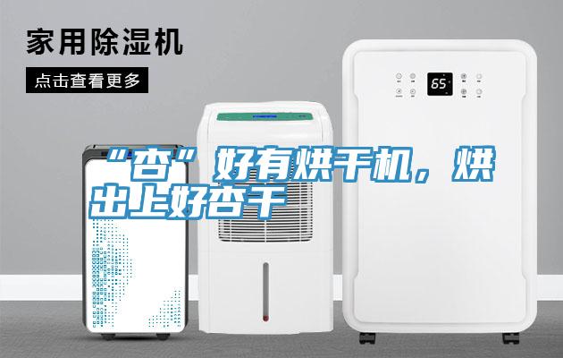 “杏”好有烘干机，烘出上好杏干
