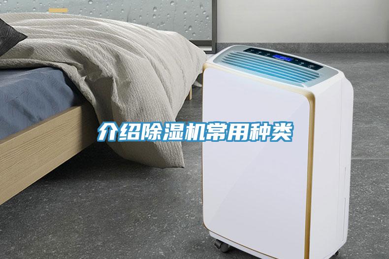 介绍MR.好色破解版常用种类