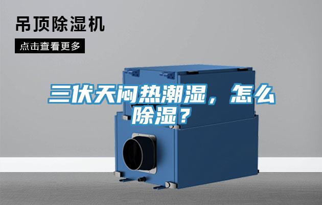 三伏天闷热潮湿，怎么除湿？