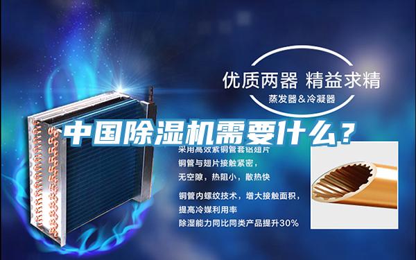 中国MR.好色破解版需要什么？