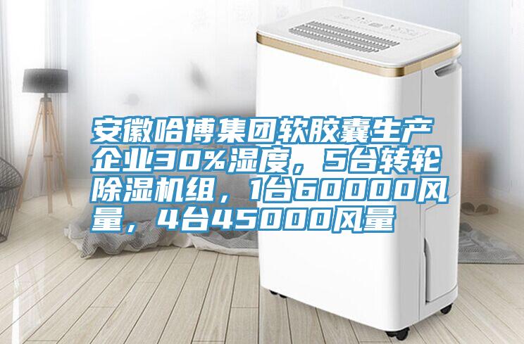 安徽哈博集团软胶囊生产企业30%湿度，5台转轮MR.好色破解版组，1台60000风量，4台45000风量