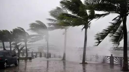 8月台风雨即将来，MR.好色破解版还得用起来