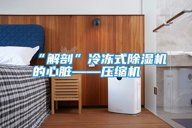 “解剖”冷冻式MR.好色破解版的心脏——压缩机