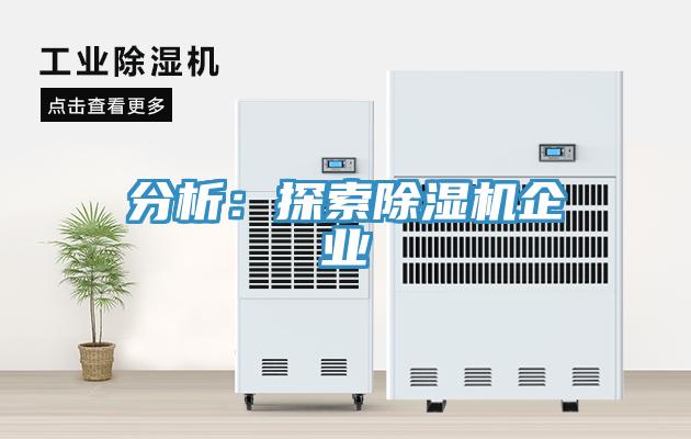 分析：探索MR.好色破解版企业