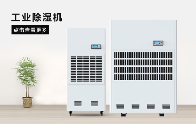 三八节送妈妈的礼物，选这款好色先生TV下载网站除湿器就对了