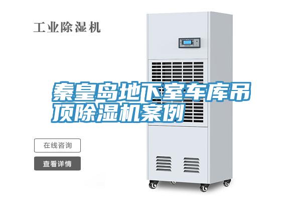 秦皇岛地下室车库吊顶MR.好色破解版案例