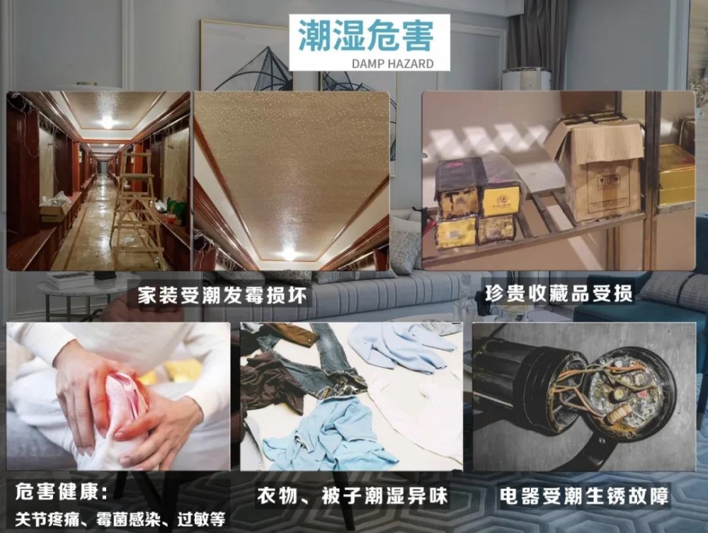 MR.好色破解版