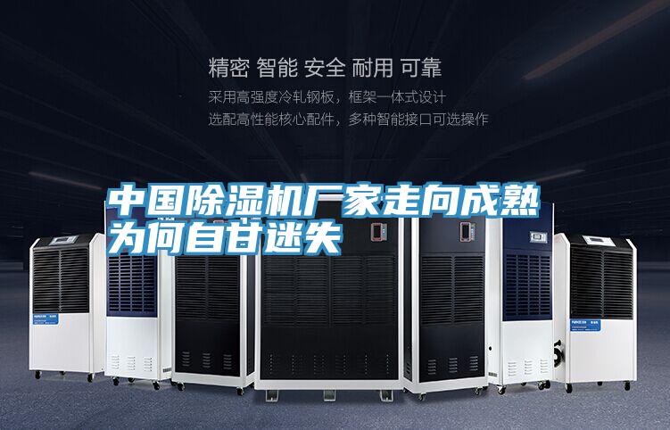 中国MR.好色破解版厂家走向成熟 为何自甘迷失