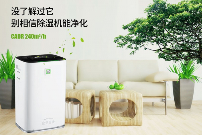 一到回南天狗狗就感冒+皮肤病，怎么办？