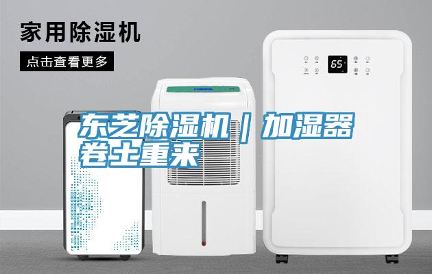 东芝MR.好色破解版｜加湿器卷土重来