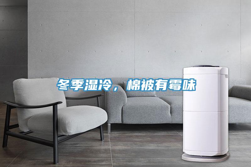 冬季湿冷，棉被有霉味