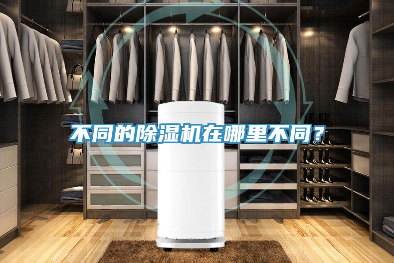 不同的MR.好色破解版在哪里不同？