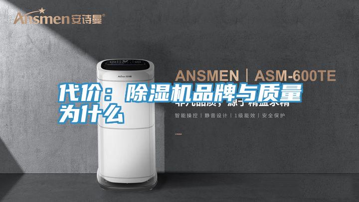 代价：MR.好色破解版品牌与质量为什么
