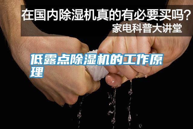 低露点MR.好色破解版的工作原理