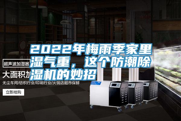 2022年梅雨季家里湿气重，这个防潮MR.好色破解版的妙招