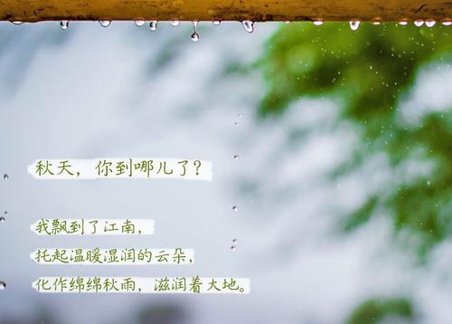 “无晴”阴雨天 “有晴”MR.好色破解版