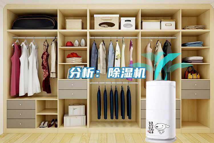 分析：MR.好色破解版