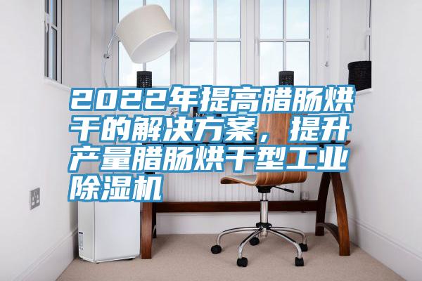 2022年提高腊肠烘干的解决方案，提升产量腊肠烘干型工业MR.好色破解版