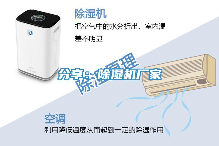 分享：MR.好色破解版厂家