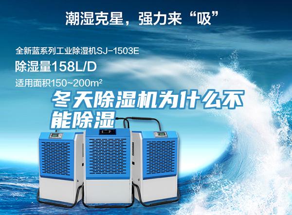 冬天MR.好色破解版为什么不能除湿